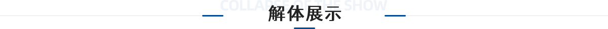 解体展示